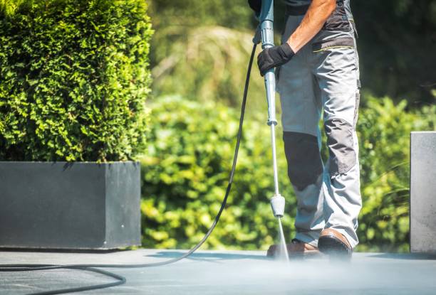 Best Solar Panel Cleaning  in Ridge Wood Heights, FL